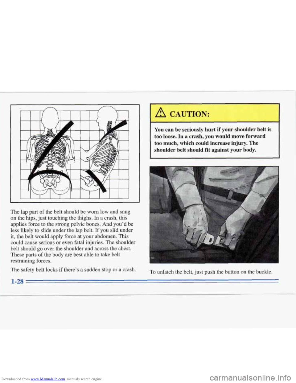 CADILLAC FLEETWOOD 1996 2.G Service Manual Downloaded from www.Manualslib.com manuals search engine The lap part of the belt should be worn low and snug
on the hips, just touching the thighs. In a crash, this
applies force to the strong CADILLAC FLEETWOOD 1996 2.G Service Manual Downloaded from www.Manualslib.com manuals search engine The lap part of the belt should be worn low and snug
on the hips, just touching the thighs. In a crash, this
applies force to the strong