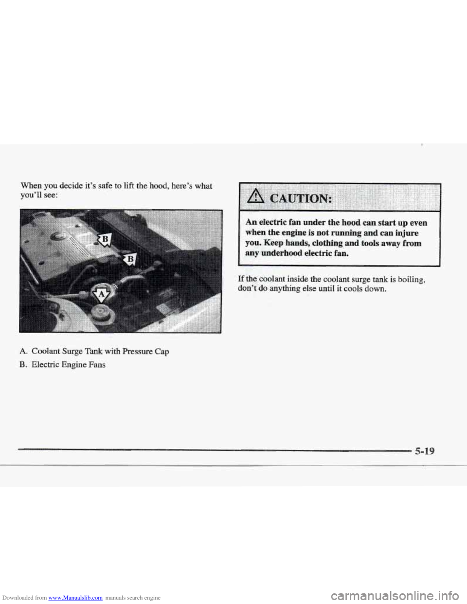 CADILLAC ELDORADO 1997 10.G Owners Manual Downloaded from www.Manualslib.com manuals search engine When you decide it’s safe to lift the hood, here’s what
you’ll see:
A. Coolant Surge Tank with Pressire Cap
B. Electric Engine Fa CADILLAC ELDORADO 1997 10.G Owners Manual Downloaded from www.Manualslib.com manuals search engine When you decide it’s safe to lift the hood, here’s what
you’ll see:
A. Coolant Surge Tank with Pressire Cap
B. Electric Engine Fa