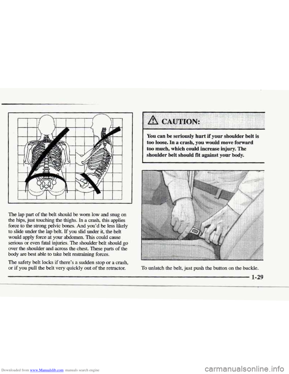 CADILLAC ELDORADO 1997 10.G Service Manual Downloaded from www.Manualslib.com manuals search engine The lap part of the belt should be worn low and snug on
the hips, just touching the thighs. In a crash, this applies
force
to the CADILLAC ELDORADO 1997 10.G Service Manual Downloaded from www.Manualslib.com manuals search engine The lap part of the belt should be worn low and snug on
the hips, just touching the thighs. In a crash, this applies
force
to the