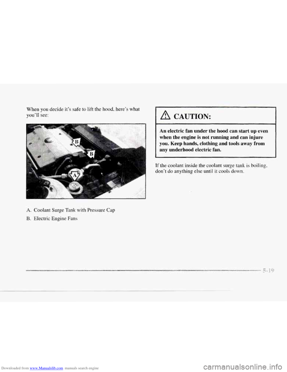 CADILLAC SEVILLE 1997 4.G User Guide Downloaded from www.Manualslib.com manuals search engine When you decide its safe to lift the hood,  heres  what 
youll 
see: I A CAUTION: 
... .. 
 .  .. 
.. , .  . .: An electric fan  under the 