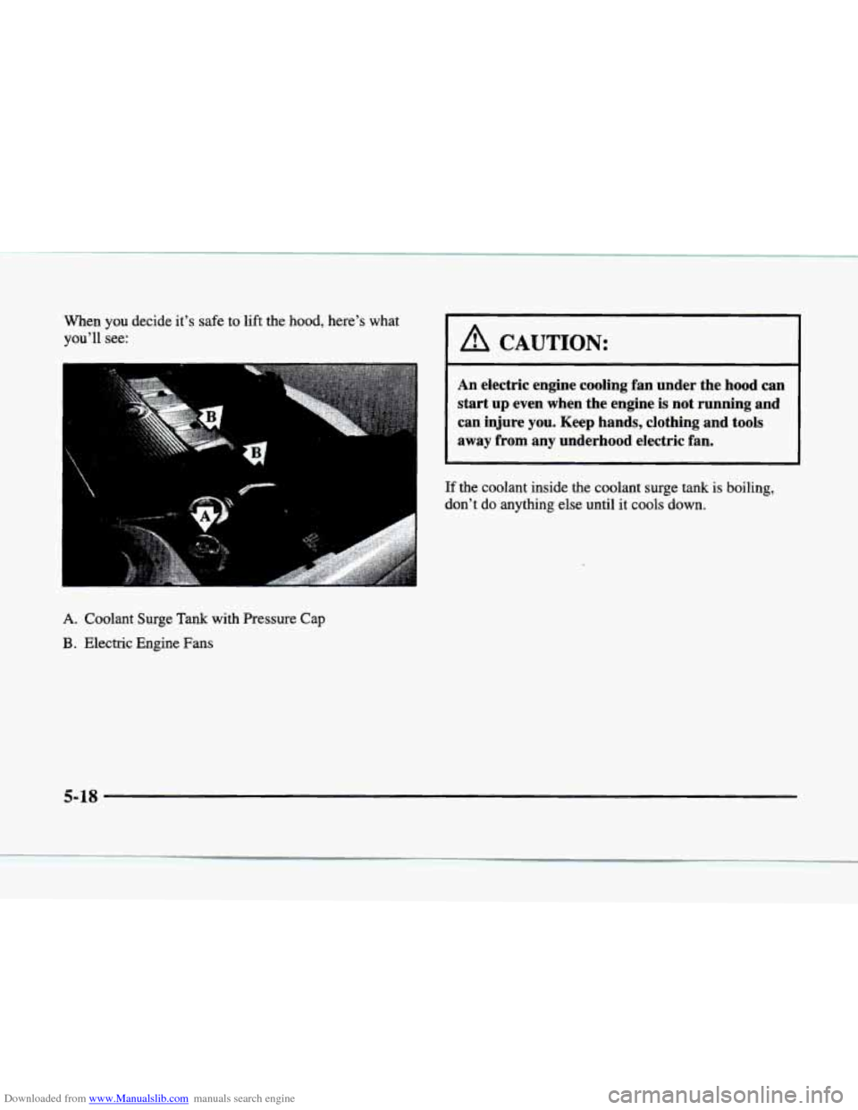 CADILLAC ELDORADO 1998 10.G Owners Manual Downloaded from www.Manualslib.com manuals search engine When you decide  it’s safe to lift  the  hood, here’s  what 
you’ll see: 
A CAUTION: 
An  electric  engine  cooling  fan  under  the  hoo