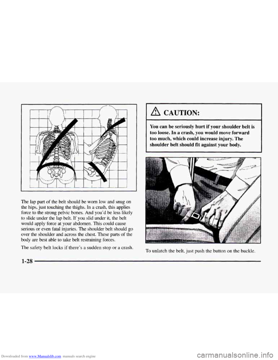 CADILLAC ELDORADO 1998 10.G Service Manual Downloaded from www.Manualslib.com manuals search engine /-- /- -l 
The lap part of the  belt  should be  worn low and  snug on 
the  hips,  just touching  the  thighs. Ln a crash, this applies 
force