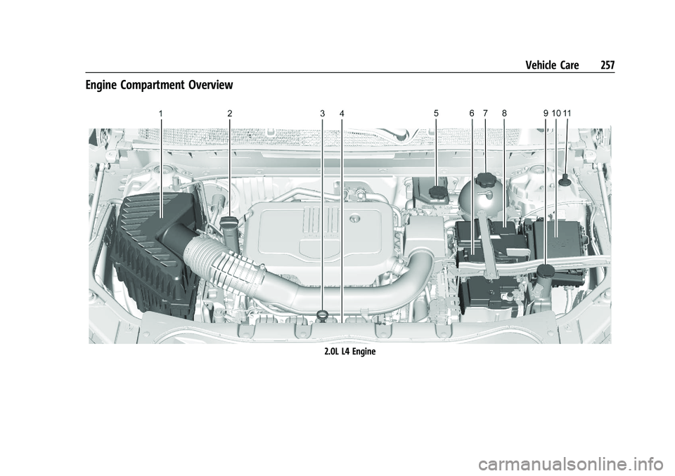 CHEVROLET BLAZER 2021 Owners Manual Chevrolet Blazer Owner Manual (GMNA-Localizing-U.S./Canada/Mexico-
14608203) - 2021 - CRC - 10/29/20
Vehicle Care 257
Engine Compartment Overview
2.0L L4 Engine CHEVROLET BLAZER 2021 Owners Manual Chevrolet Blazer Owner Manual (GMNA-Localizing-U.S./Canada/Mexico-
14608203) - 2021 - CRC - 10/29/20
Vehicle Care 257
Engine Compartment Overview
2.0L L4 Engine