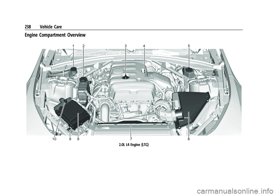 CHEVROLET CAMARO 2021 Manual Online Chevrolet Camaro Owner Manual (GMNA-Localizing-U.S./Canada/Mexico-
14583589) - 2021 - CRC - 10/1/20
238 Vehicle Care
Engine Compartment Overview
2.0L L4 Engine (LTG) CHEVROLET CAMARO 2021 Manual Online Chevrolet Camaro Owner Manual (GMNA-Localizing-U.S./Canada/Mexico-
14583589) - 2021 - CRC - 10/1/20
238 Vehicle Care
Engine Compartment Overview
2.0L L4 Engine (LTG)