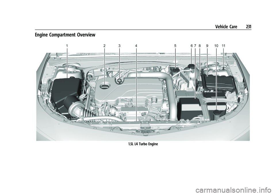 CHEVROLET MALIBU 2021 Owners Manual Chevrolet Malibu Owner Manual (GMNA-Localizing-U.S./Canada-
14584249) - 2021 - CRC - 11/9/20
Vehicle Care 231
Engine Compartment Overview
1.5L L4 Turbo Engine CHEVROLET MALIBU 2021 Owners Manual Chevrolet Malibu Owner Manual (GMNA-Localizing-U.S./Canada-
14584249) - 2021 - CRC - 11/9/20
Vehicle Care 231
Engine Compartment Overview
1.5L L4 Turbo Engine