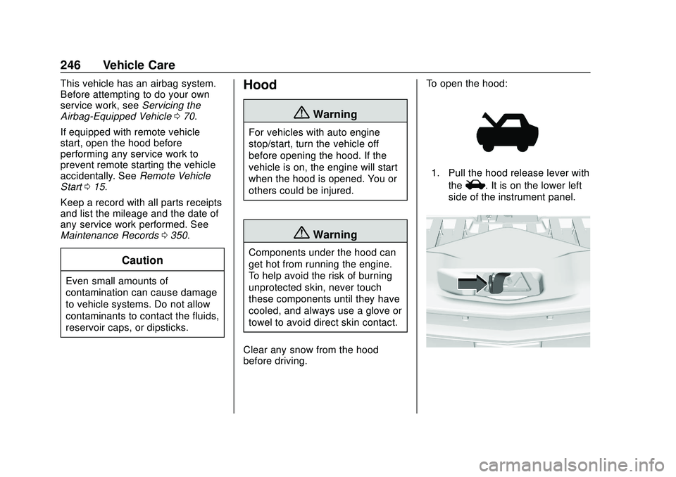 CHEVROLET BLAZER 2020 Owners Manual Chevrolet Blazer Owner Manual (GMNA-Localizing-U.S./Canada/Mexico-
13557845) - 2020 - CRC - 3/24/20
246 Vehicle Care
This vehicle has an airbag system.
Before attempting to do your own
service work, s CHEVROLET BLAZER 2020 Owners Manual Chevrolet Blazer Owner Manual (GMNA-Localizing-U.S./Canada/Mexico-
13557845) - 2020 - CRC - 3/24/20
246 Vehicle Care
This vehicle has an airbag system.
Before attempting to do your own
service work, s