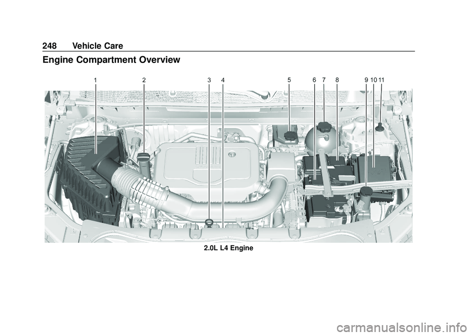 CHEVROLET BLAZER 2020 Owners Manual Chevrolet Blazer Owner Manual (GMNA-Localizing-U.S./Canada/Mexico-
13557845) - 2020 - CRC - 3/24/20
248 Vehicle Care
Engine Compartment Overview
2.0L L4 Engine CHEVROLET BLAZER 2020 Owners Manual Chevrolet Blazer Owner Manual (GMNA-Localizing-U.S./Canada/Mexico-
13557845) - 2020 - CRC - 3/24/20
248 Vehicle Care
Engine Compartment Overview
2.0L L4 Engine