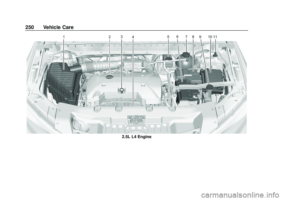 CHEVROLET BLAZER 2020 Owners Manual Chevrolet Blazer Owner Manual (GMNA-Localizing-U.S./Canada/Mexico-
13557845) - 2020 - CRC - 3/24/20
250 Vehicle Care
2.5L L4 Engine CHEVROLET BLAZER 2020 Owners Manual Chevrolet Blazer Owner Manual (GMNA-Localizing-U.S./Canada/Mexico-
13557845) - 2020 - CRC - 3/24/20
250 Vehicle Care
2.5L L4 Engine