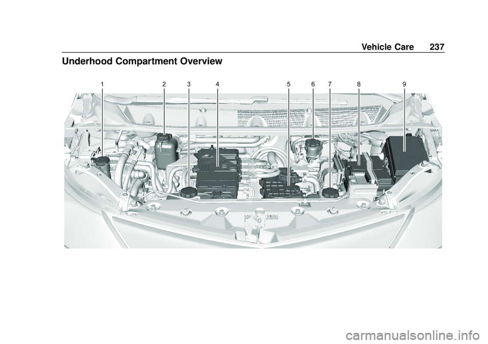 CHEVROLET BOLT EV 2020 Owners Manual Chevrolet BOLT EV Owner Manual (GMNA-Localizing-U.S./Canada/Mexico-
13556250) - 2020 - CRC - 2/11/20
Vehicle Care 237
Underhood Compartment Overview CHEVROLET BOLT EV 2020 Owners Manual Chevrolet BOLT EV Owner Manual (GMNA-Localizing-U.S./Canada/Mexico-
13556250) - 2020 - CRC - 2/11/20
Vehicle Care 237
Underhood Compartment Overview