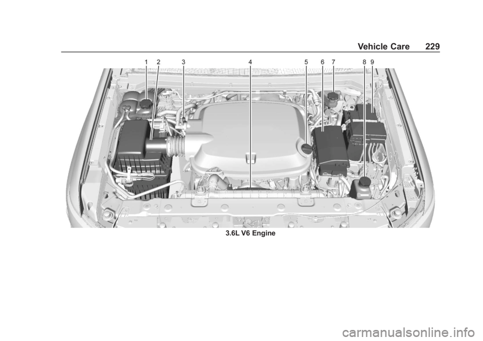 CHEVROLET COLORADO 2020  Owners Manual Chevrolet Colorado Owner Manual (GMNA-Localizing-U.S./Canada/Mexico-
13566640) - 2020 - CRC - 10/4/19
Vehicle Care 229
3.6L V6 Engine 