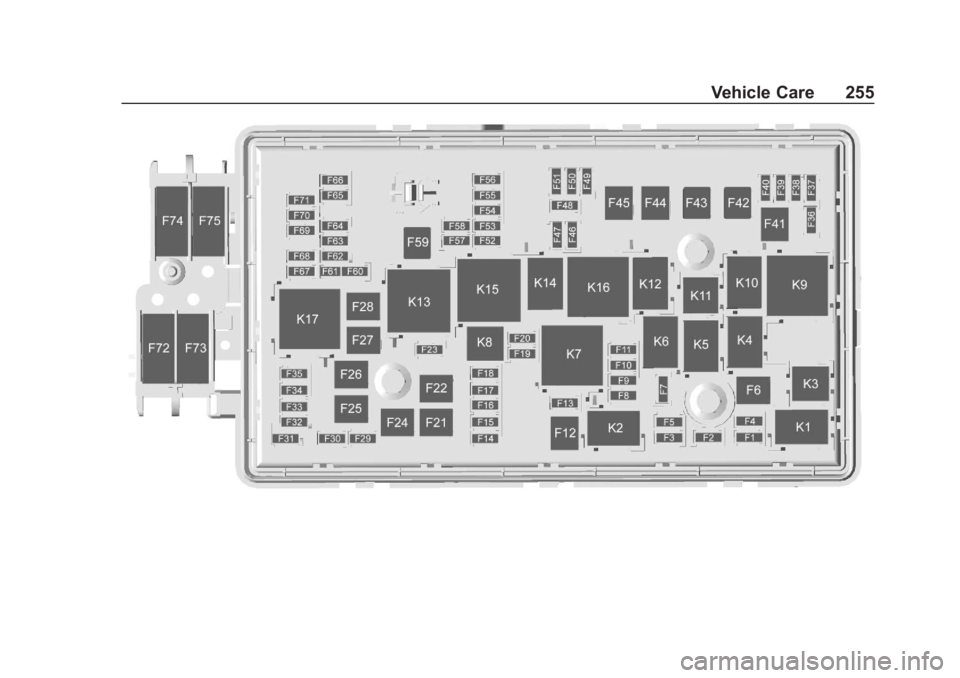 CHEVROLET COLORADO 2020  Owners Manual Chevrolet Colorado Owner Manual (GMNA-Localizing-U.S./Canada/Mexico-
13566640) - 2020 - CRC - 10/4/19
Vehicle Care 255 