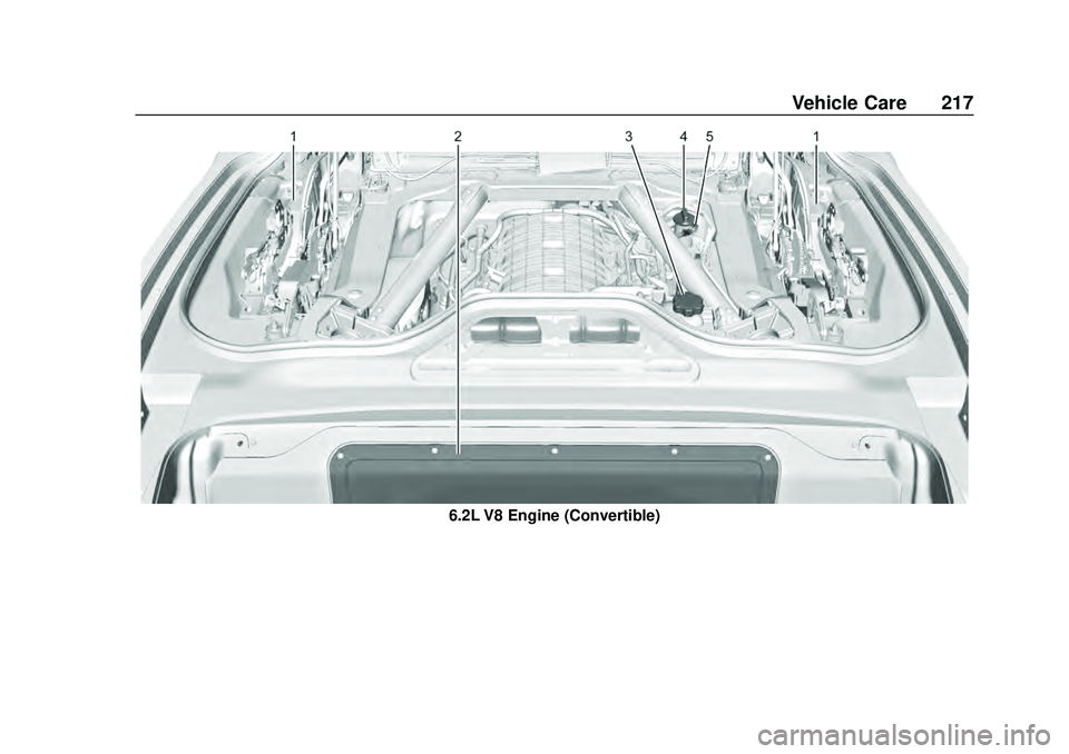 CHEVROLET CORVETTE 2020 Owners Manual Chevrolet Corvette Owner Manual (GMNA-Localizing-U.S./Canada/Mexico-
12470550) - 2020 - CRC - 4/23/20
Vehicle Care 217
6.2L V8 Engine (Convertible) CHEVROLET CORVETTE 2020 Owners Manual Chevrolet Corvette Owner Manual (GMNA-Localizing-U.S./Canada/Mexico-
12470550) - 2020 - CRC - 4/23/20
Vehicle Care 217
6.2L V8 Engine (Convertible)