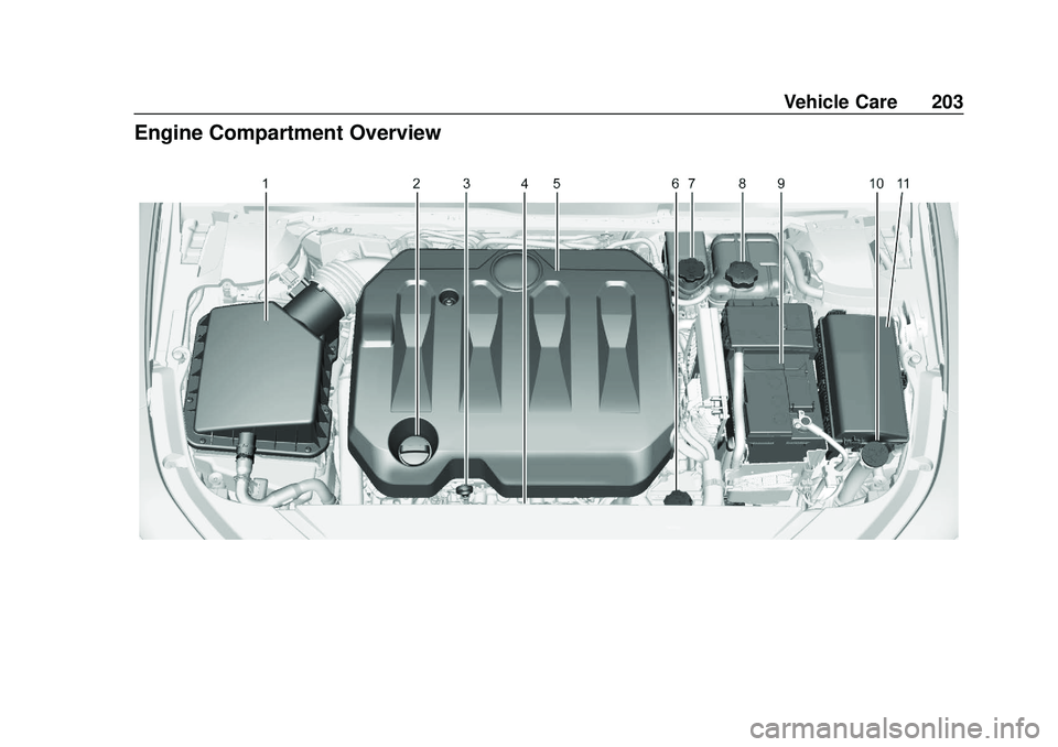 CHEVROLET IMPALA 2020  Owners Manual Chevrolet Impala Owner Manual (GMNA-Localizing-U.S./Canada-13688912) -
2020 - CRC - 6/5/19
Vehicle Care 203
Engine Compartment Overview 