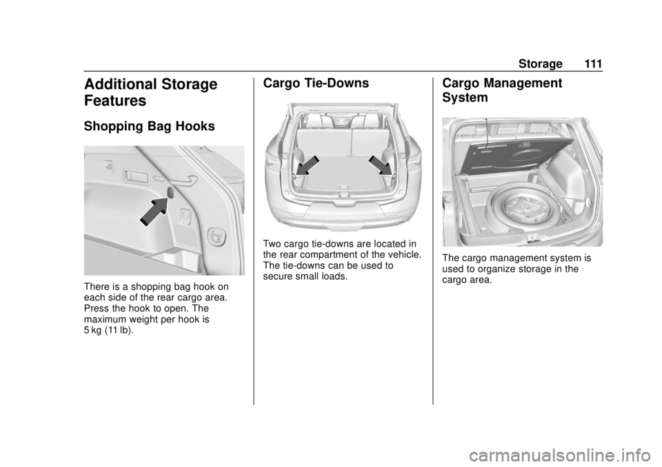CHEVROLET BLAZER 2019 Owners Manual Chevrolet Blazer (GMNA-Localizing-U.S./Canada/Mexico-12461541) - 2019 -
CRC - 3/11/19
Storage 111
Additional Storage
Features
Shopping Bag Hooks
There is a shopping bag hook on
each side of the rear c CHEVROLET BLAZER 2019 Owners Manual Chevrolet Blazer (GMNA-Localizing-U.S./Canada/Mexico-12461541) - 2019 -
CRC - 3/11/19
Storage 111
Additional Storage
Features
Shopping Bag Hooks
There is a shopping bag hook on
each side of the rear c