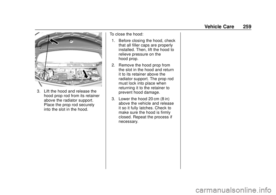 CHEVROLET BOLT EV 2019 Owners Manual Chevrolet BOLT EV Owner Manual (GMNA-Localizing-U.S./Canada/Mexico-
12163003) - 2019 - crc - 5/18/18
Vehicle Care 259
3. Lift the hood and release thehood prop rod from its retainer
above the radiator CHEVROLET BOLT EV 2019 Owners Manual Chevrolet BOLT EV Owner Manual (GMNA-Localizing-U.S./Canada/Mexico-
12163003) - 2019 - crc - 5/18/18
Vehicle Care 259
3. Lift the hood and release thehood prop rod from its retainer
above the radiator