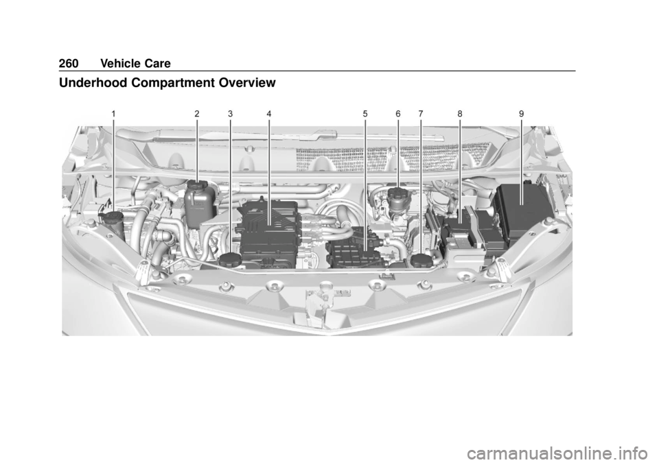 CHEVROLET BOLT EV 2019 Owners Manual Chevrolet BOLT EV Owner Manual (GMNA-Localizing-U.S./Canada/Mexico-
12163003) - 2019 - crc - 5/18/18
260 Vehicle Care
Underhood Compartment Overview CHEVROLET BOLT EV 2019 Owners Manual Chevrolet BOLT EV Owner Manual (GMNA-Localizing-U.S./Canada/Mexico-
12163003) - 2019 - crc - 5/18/18
260 Vehicle Care
Underhood Compartment Overview