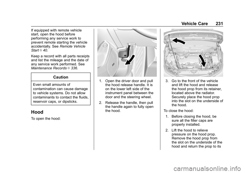 CHEVROLET CRUZE 2019  Track Prep Guide Chevrolet Cruze Owner Manual (GMNA-Localizing-U.S./Canada/Mexico-
12146336) - 2019 - crc - 10/22/18
Vehicle Care 231
If equipped with remote vehicle
start, open the hood before
performing any service 