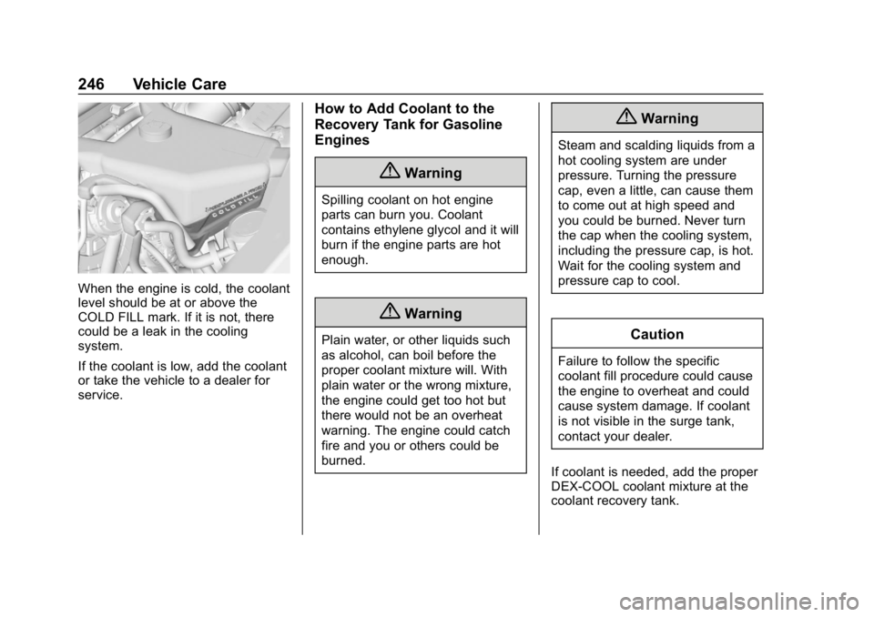 CHEVROLET EXPRESS 2019  Owners Manual Chevrolet Express Owner Manual (GMNA-Localizing-U.S./Canada/Mexico-
12146162) - 2019 - crc - 11/26/18
246 Vehicle Care
When the engine is cold, the coolant
level should be at or above the
COLD FILL ma