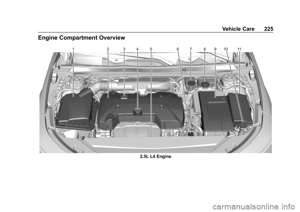 CHEVROLET IMPALA 2019 Owners Manual Chevrolet Impala Owner Manual (GMNA-Localizing-U.S./Canada-12146115) -
2019 - crc - 8/27/18
Vehicle Care 225
Engine Compartment Overview
2.5L L4 Engine CHEVROLET IMPALA 2019 Owners Manual Chevrolet Impala Owner Manual (GMNA-Localizing-U.S./Canada-12146115) -
2019 - crc - 8/27/18
Vehicle Care 225
Engine Compartment Overview
2.5L L4 Engine