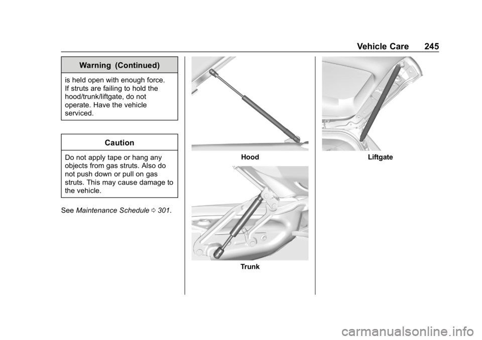 CHEVROLET IMPALA 2019  Owners Manual Chevrolet Impala Owner Manual (GMNA-Localizing-U.S./Canada-12146115) -
2019 - crc - 8/27/18
Vehicle Care 245
Warning (Continued)
is held open with enough force.
If struts are failing to hold the
hood/