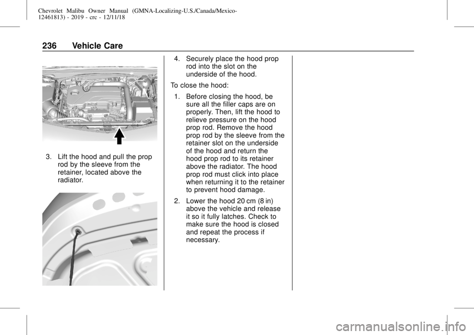 CHEVROLET MALIBU 2019 Owners Manual Chevrolet Malibu Owner Manual (GMNA-Localizing-U.S./Canada/Mexico-
12461813) - 2019 - crc - 12/11/18
236 Vehicle Care
3. Lift the hood and pull the prop
rod by the sleeve from the
retainer, located ab CHEVROLET MALIBU 2019 Owners Manual Chevrolet Malibu Owner Manual (GMNA-Localizing-U.S./Canada/Mexico-
12461813) - 2019 - crc - 12/11/18
236 Vehicle Care
3. Lift the hood and pull the prop
rod by the sleeve from the
retainer, located ab