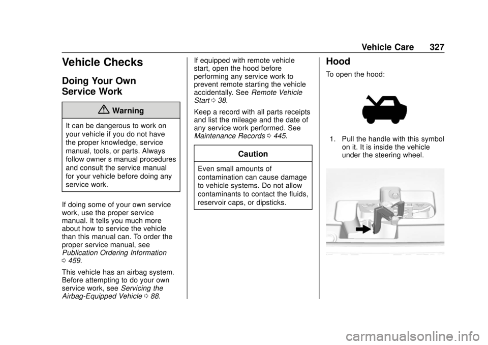 CHEVROLET SILVERADO 1500 LD 2019  Owners Manual Chevrolet Silverado LD 1500 and Silverado 2500/3500 Owner Manual (GMNA-
Localizing-U.S./Canada-12162993) - 2019 - crc - 7/30/18
Vehicle Care 327
Vehicle Checks
Doing Your Own
Service Work
{Warning
It 