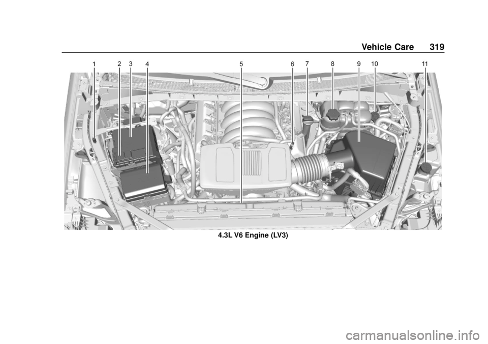 CHEVROLET SILVERADO 2019  Owners Manual Chevrolet Silverado Owner Manual (GMNA-Localizing-U.S./Canada/Mexico-
1500-11698642) - 2019 - CRC - 2/20/19
Vehicle Care 319
4.3L V6 Engine (LV3) 