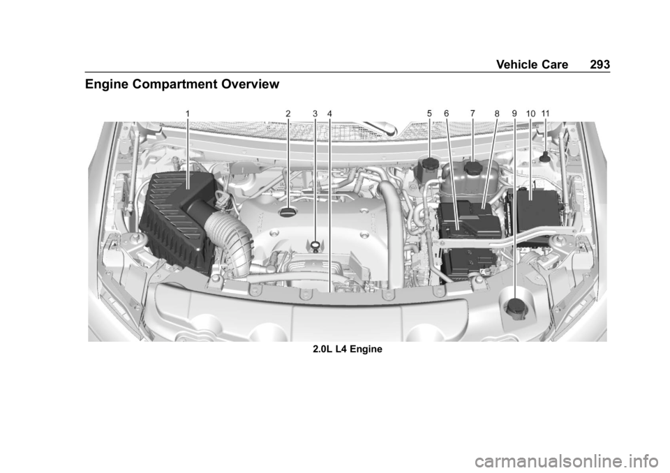 CHEVROLET TRAVERSE 2019 Owners Manual Chevrolet Traverse Owner Manual (GMNA-Localizing-U.S./Canada/Mexico-
12146157) - 2019 - CRC - 11/1/18
Vehicle Care 293
Engine Compartment Overview
2.0L L4 Engine CHEVROLET TRAVERSE 2019 Owners Manual Chevrolet Traverse Owner Manual (GMNA-Localizing-U.S./Canada/Mexico-
12146157) - 2019 - CRC - 11/1/18
Vehicle Care 293
Engine Compartment Overview
2.0L L4 Engine