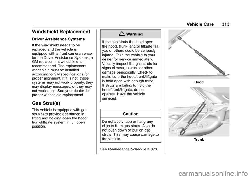 CHEVROLET TRAVERSE 2019  Owners Manual Chevrolet Traverse Owner Manual (GMNA-Localizing-U.S./Canada/Mexico-
12146157) - 2019 - CRC - 11/1/18
Vehicle Care 313
Windshield Replacement
Driver Assistance Systems
If the windshield needs to be
re