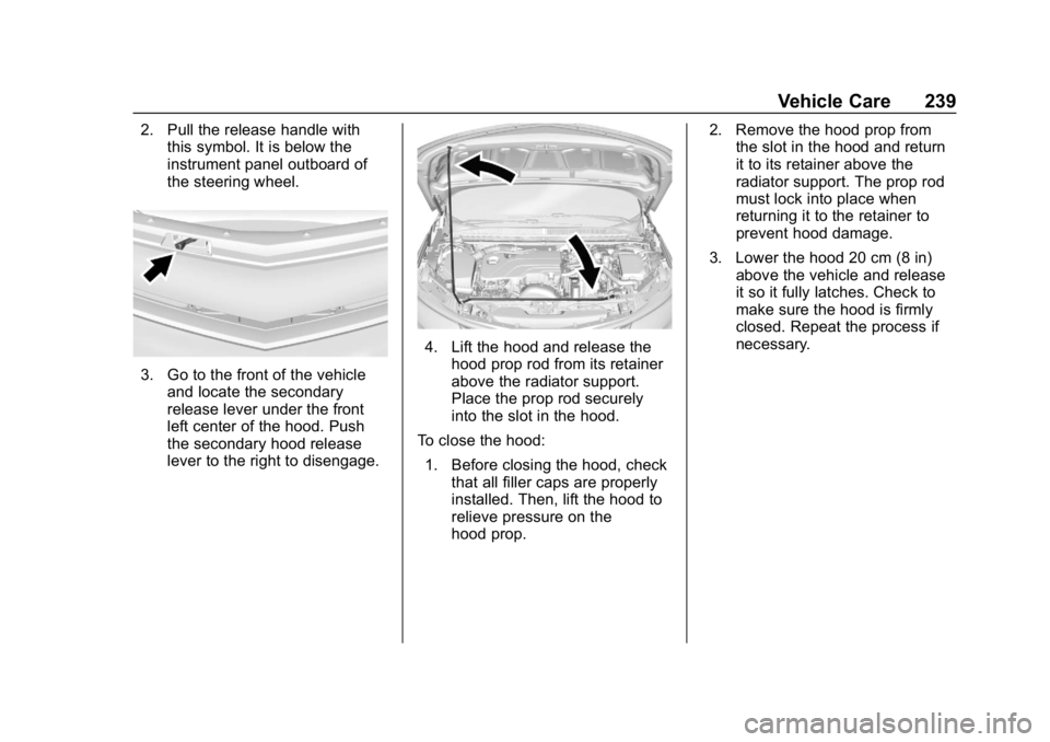 CHEVROLET VOLT 2019 Owners Manual Chevrolet VOLT Owner Manual (GMNA-Localizing-U.S./Canada/Mexico-
12163007) - 2019 - CRC - 11/5/18
Vehicle Care 239
2. Pull the release handle withthis symbol. It is below the
instrument panel outboard CHEVROLET VOLT 2019 Owners Manual Chevrolet VOLT Owner Manual (GMNA-Localizing-U.S./Canada/Mexico-
12163007) - 2019 - CRC - 11/5/18
Vehicle Care 239
2. Pull the release handle withthis symbol. It is below the
instrument panel outboard