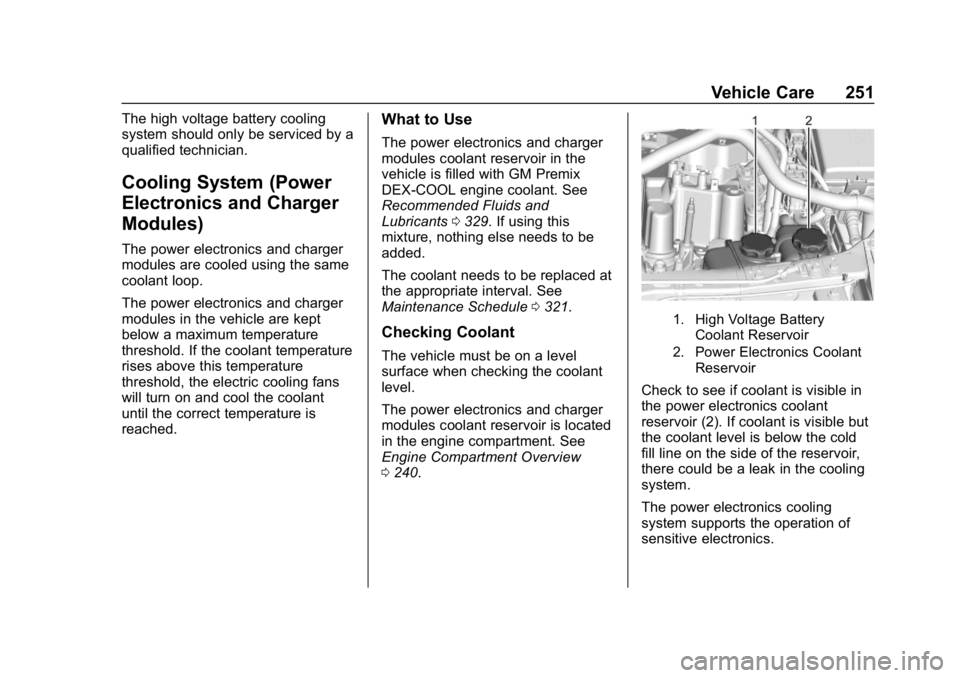 CHEVROLET VOLT 2019  Owners Manual Chevrolet VOLT Owner Manual (GMNA-Localizing-U.S./Canada/Mexico-
12163007) - 2019 - CRC - 11/5/18
Vehicle Care 251
The high voltage battery cooling
system should only be serviced by a
qualified techni