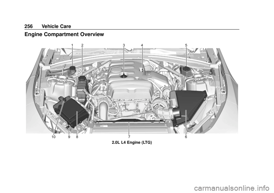 CHEVROLET CAMARO 2018 Owners Manual Chevrolet Camaro Owner Manual (GMNA-Localizing-U.S./Canada/Mexico-
11348325) - 2018 - CRC - 10/23/17
256 Vehicle Care
Engine Compartment Overview
2.0L L4 Engine (LTG) CHEVROLET CAMARO 2018 Owners Manual Chevrolet Camaro Owner Manual (GMNA-Localizing-U.S./Canada/Mexico-
11348325) - 2018 - CRC - 10/23/17
256 Vehicle Care
Engine Compartment Overview
2.0L L4 Engine (LTG)