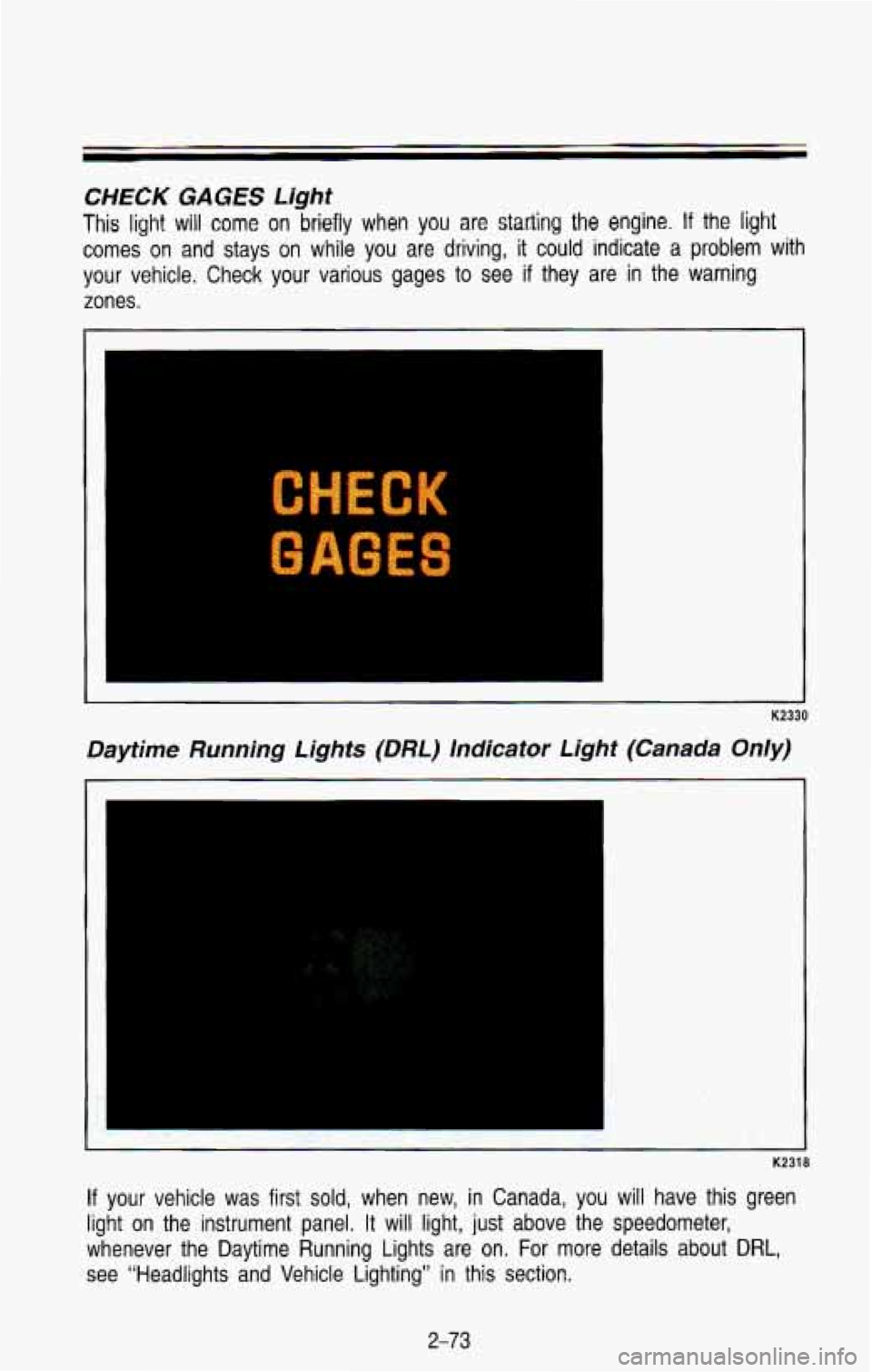 CHEVROLET BLAZER 1993  Owners Manual CHECK GAGES Light 
This light will come on  briefly when you are statling the engine. If the light 
comes  on  and  stays on while  you  are  driving, it could  indicate  a  problem with 
your  vehicl
