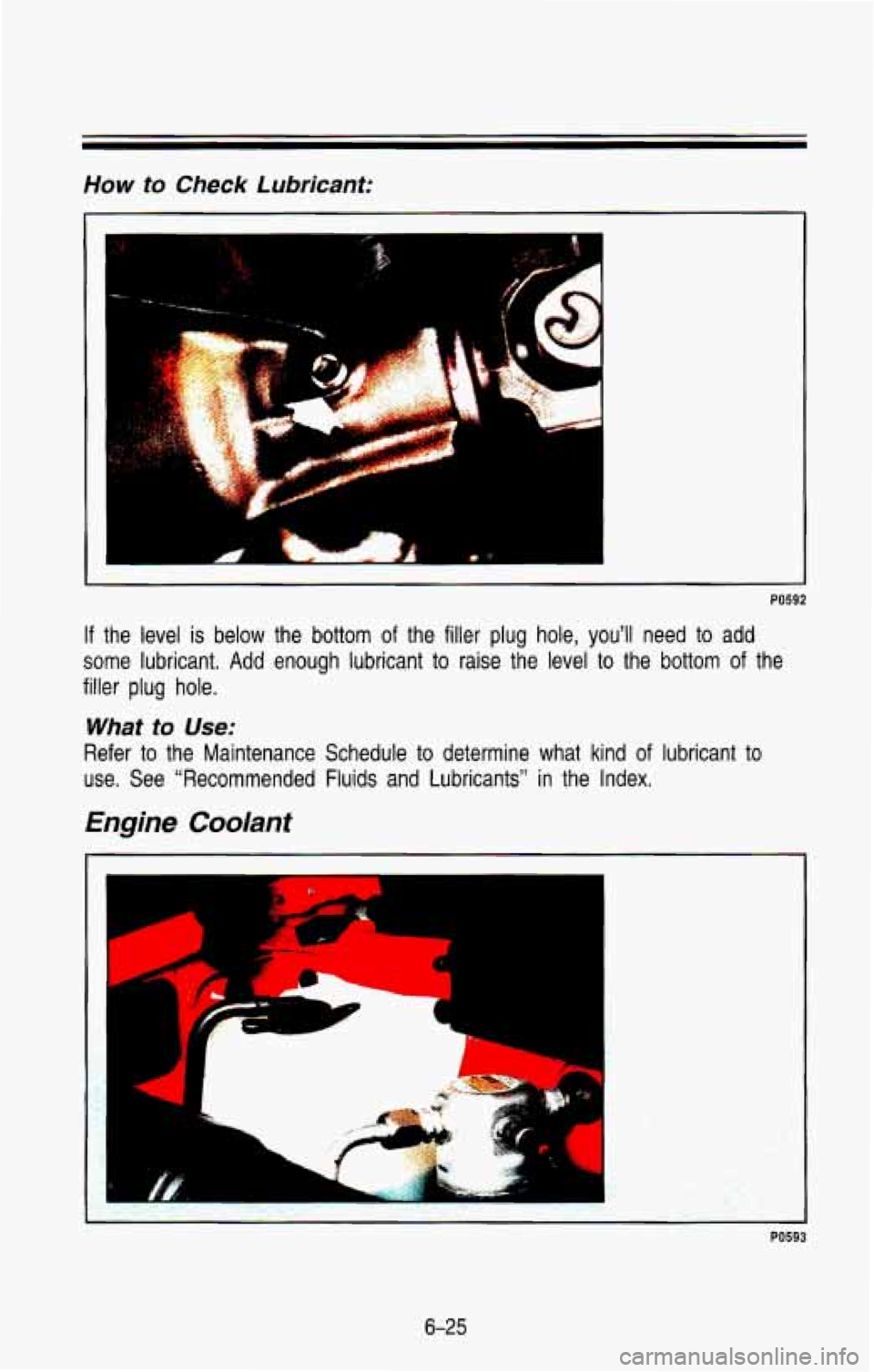 CHEVROLET BLAZER 1993 Owners Manual How to Check Lubricant:
PO592
If the level is below the bottom of the filler plug hole, you’ll need to add
some lubricant.
Add enough lubricant to raise the level to the bottom of CHEVROLET BLAZER 1993 Owners Manual How to Check Lubricant:
PO592
If the level is below the bottom of the filler plug hole, you’ll need to add
some lubricant.
Add enough lubricant to raise the level to the bottom of