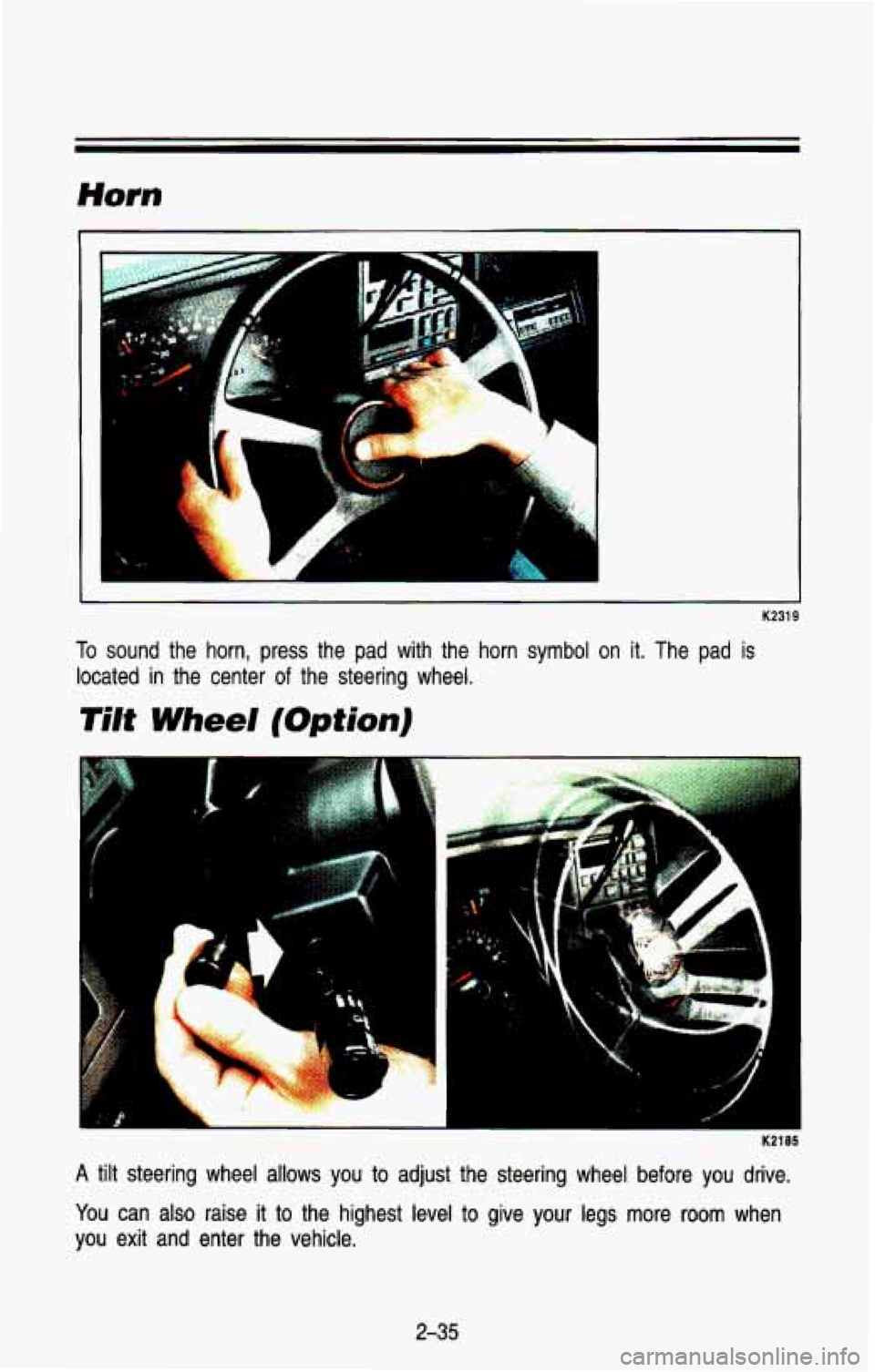 CHEVROLET BLAZER 1993 Owners Manual K2319
To sound the horn, press the pad with the horn symbol on it. Th\
e pad is
located in the center
of the steering wheel.
Tilt Wheel (Option)
K2185
A tilt steering wheel CHEVROLET BLAZER 1993 Owners Manual K2319
To sound the horn, press the pad with the horn symbol on it. Th\
e pad is
located in the center
of the steering wheel.
Tilt Wheel (Option)
K2185
A tilt steering wheel
