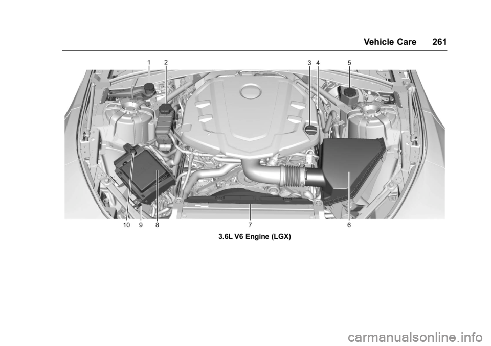 CHEVROLET CAMARO ZL1 2017  Owners Manual Chevrolet Camaro Owner Manual (GMNA-Localizing-U.S./Canada/Mexico-
9804281) - 2017 - crc - 4/25/16
Vehicle Care 261
3.6L V6 Engine (LGX) 