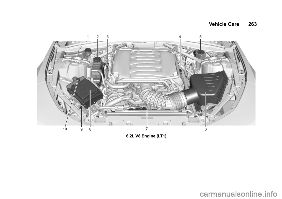 CHEVROLET CAMARO ZL1 2017  Owners Manual Chevrolet Camaro Owner Manual (GMNA-Localizing-U.S./Canada/Mexico-
9804281) - 2017 - crc - 4/25/16
Vehicle Care 263
6.2L V8 Engine (LT1) 