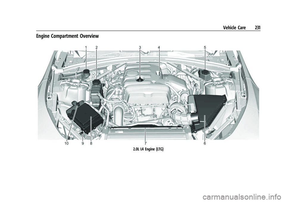 CHEVROLET CAMARO 2023 Owners Manual Chevrolet Camaro Owner Manual (GMNA-Localizing-U.S./Canada/Mexico-
16408685) - 2023 - CRC - 3/28/22
Vehicle Care 231
Engine Compartment Overview
2.0L L4 Engine (LTG) CHEVROLET CAMARO 2023 Owners Manual Chevrolet Camaro Owner Manual (GMNA-Localizing-U.S./Canada/Mexico-
16408685) - 2023 - CRC - 3/28/22
Vehicle Care 231
Engine Compartment Overview
2.0L L4 Engine (LTG)