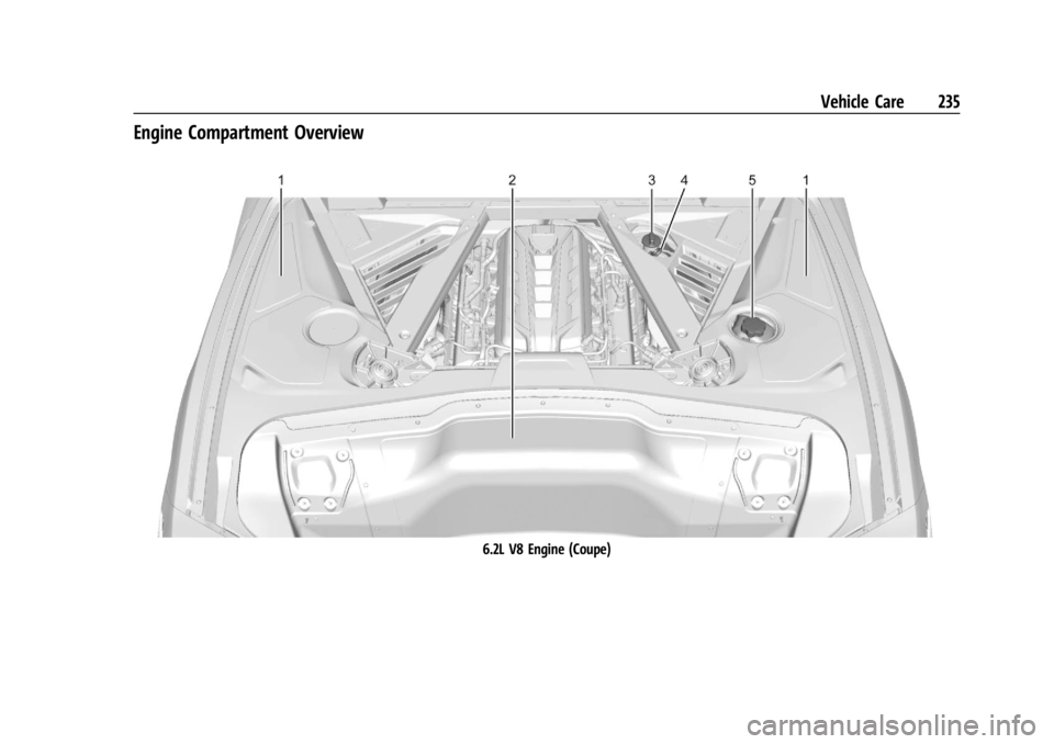 CHEVROLET CORVETTE C8 2021 Owners Manual Chevrolet Corvette Owner Manual (GMNA-Localizing-U.S./Canada/Mexico-
14622938) - 2021 - CRC - 9/22/20
Vehicle Care 235
Engine Compartment Overview
6.2L V8 Engine (Coupe) CHEVROLET CORVETTE C8 2021 Owners Manual Chevrolet Corvette Owner Manual (GMNA-Localizing-U.S./Canada/Mexico-
14622938) - 2021 - CRC - 9/22/20
Vehicle Care 235
Engine Compartment Overview
6.2L V8 Engine (Coupe)