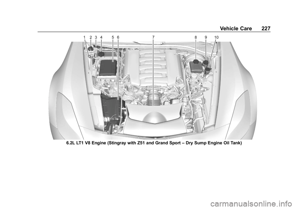 CHEVROLET CORVETTE GRAND SPORT 2019 Owners Manual Chevrolet Corvette Owner Manual (GMNA-Localizing-U.S./Canada/Mexico-
12032182) - 2019 - crc - 5/8/18
Vehicle Care 227
6.2L LT1 V8 Engine (Stingray with Z51 and Grand Sport–Dry Sump Engine Oil Tank) CHEVROLET CORVETTE GRAND SPORT 2019 Owners Manual Chevrolet Corvette Owner Manual (GMNA-Localizing-U.S./Canada/Mexico-
12032182) - 2019 - crc - 5/8/18
Vehicle Care 227
6.2L LT1 V8 Engine (Stingray with Z51 and Grand Sport–Dry Sump Engine Oil Tank)