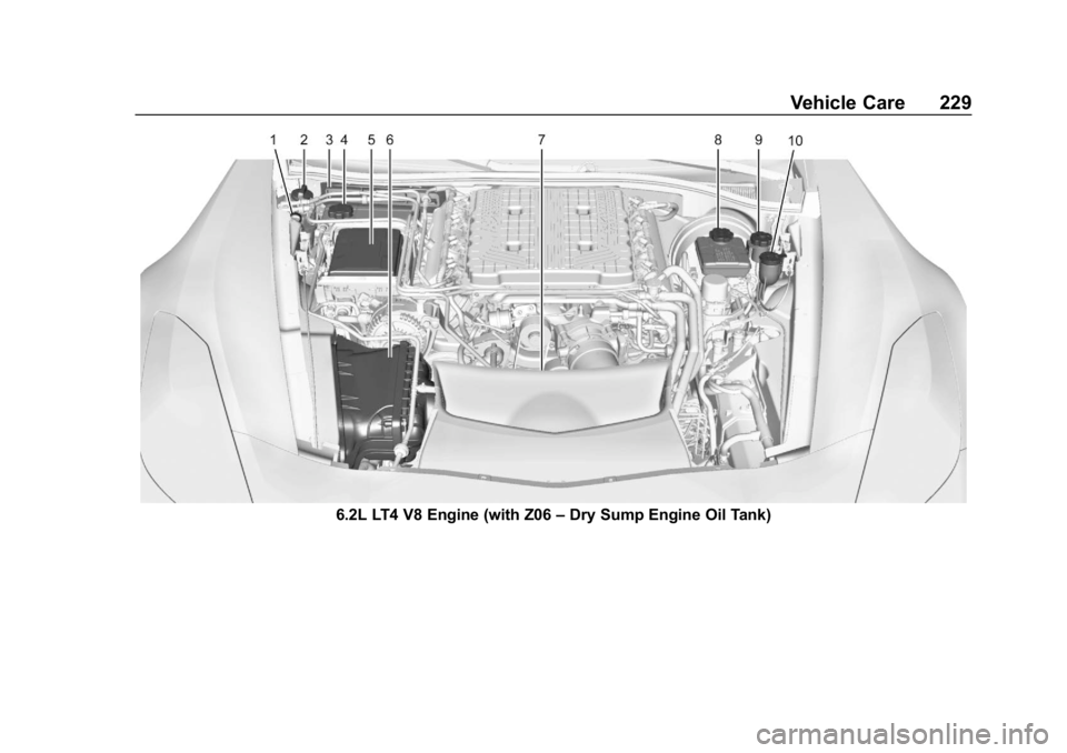CHEVROLET CORVETTE GRAND SPORT 2019 Owners Manual Chevrolet Corvette Owner Manual (GMNA-Localizing-U.S./Canada/Mexico-
12032182) - 2019 - crc - 5/8/18
Vehicle Care 229
6.2L LT4 V8 Engine (with Z06–Dry Sump Engine Oil Tank) CHEVROLET CORVETTE GRAND SPORT 2019 Owners Manual Chevrolet Corvette Owner Manual (GMNA-Localizing-U.S./Canada/Mexico-
12032182) - 2019 - crc - 5/8/18
Vehicle Care 229
6.2L LT4 V8 Engine (with Z06–Dry Sump Engine Oil Tank)