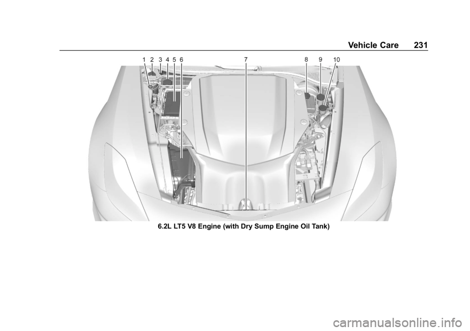 CHEVROLET CORVETTE GRAND SPORT 2019 Owners Manual Chevrolet Corvette Owner Manual (GMNA-Localizing-U.S./Canada/Mexico-
12032182) - 2019 - crc - 5/8/18
Vehicle Care 231
6.2L LT5 V8 Engine (with Dry Sump Engine Oil Tank) CHEVROLET CORVETTE GRAND SPORT 2019 Owners Manual Chevrolet Corvette Owner Manual (GMNA-Localizing-U.S./Canada/Mexico-
12032182) - 2019 - crc - 5/8/18
Vehicle Care 231
6.2L LT5 V8 Engine (with Dry Sump Engine Oil Tank)