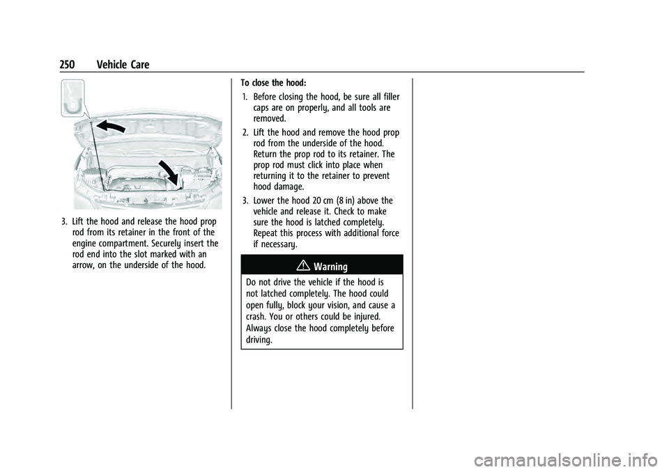 CHEVROLET EQUINOX 2023  Owners Manual Chevrolet Equinox Owner Manual (GMNA-Localizing-U.S./Canada-
16540728) - 2023 - crc - 6/16/22
250 Vehicle Care
3. Lift the hood and release the hood proprod from its retainer in the front of the
engin