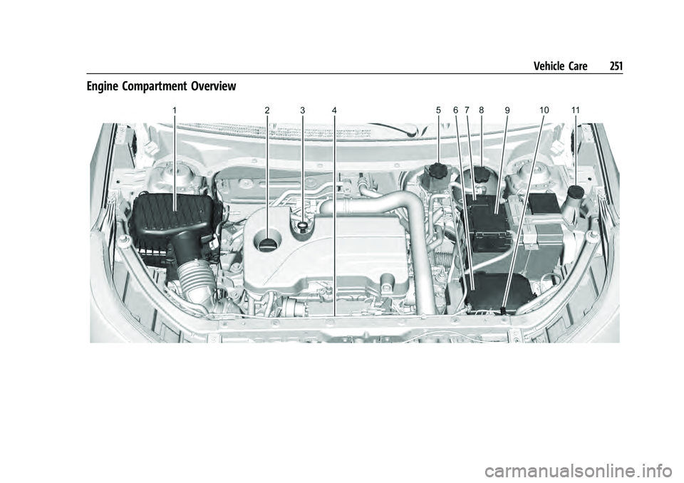 CHEVROLET EQUINOX 2022 Owners Manual Chevrolet Equinox Owner Manual (GMNA-Localizing-U.S./Canada-
16540728) - 2023 - crc - 6/16/22
Vehicle Care 251
Engine Compartment Overview CHEVROLET EQUINOX 2022 Owners Manual Chevrolet Equinox Owner Manual (GMNA-Localizing-U.S./Canada-
16540728) - 2023 - crc - 6/16/22
Vehicle Care 251
Engine Compartment Overview