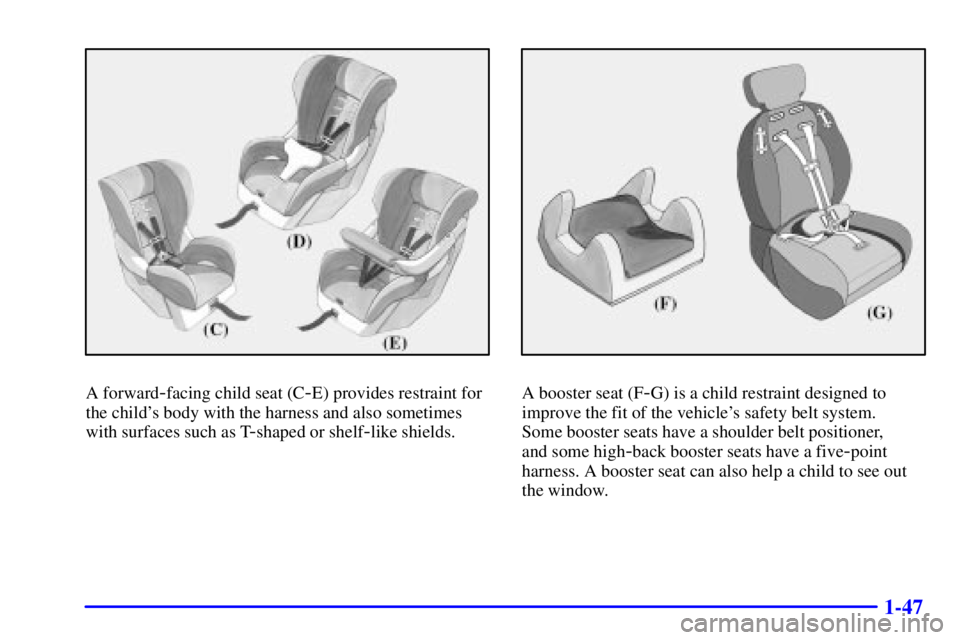 CHEVROLET EXPRESS 1999 Workshop Manual 1-47
A forward-facing child seat (C-E) provides restraint for
the childs body with the harness and also sometimes
with surfaces such as T
-shaped or shelf-like shields.
A booster seat (F-G) is a chil CHEVROLET EXPRESS 1999 Workshop Manual 1-47
A forward-facing child seat (C-E) provides restraint for
the childs body with the harness and also sometimes
with surfaces such as T
-shaped or shelf-like shields.
A booster seat (F-G) is a chil