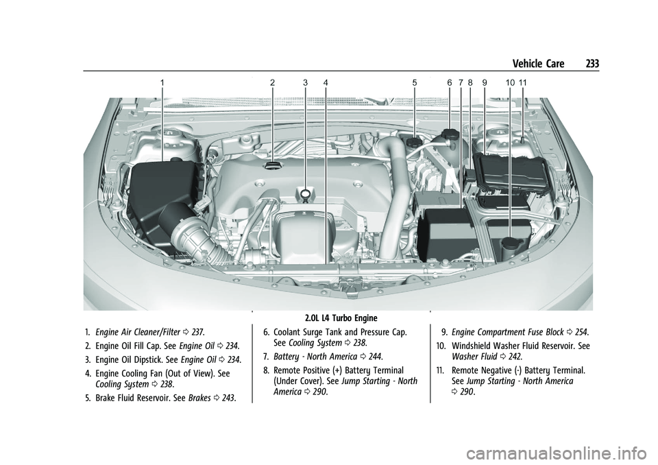 CHEVROLET MALIBU 2022 Owners Manual Chevrolet Malibu Owner Manual (GMNA-Localizing-U.S./Canada-
14584249) - 2021 - CRC - 11/9/20
Vehicle Care 233
2.0L L4 Turbo Engine
1. Engine Air Cleaner/Filter 0237.
2. Engine Oil Fill Cap. See Engine CHEVROLET MALIBU 2022 Owners Manual Chevrolet Malibu Owner Manual (GMNA-Localizing-U.S./Canada-
14584249) - 2021 - CRC - 11/9/20
Vehicle Care 233
2.0L L4 Turbo Engine
1. Engine Air Cleaner/Filter 0237.
2. Engine Oil Fill Cap. See Engine