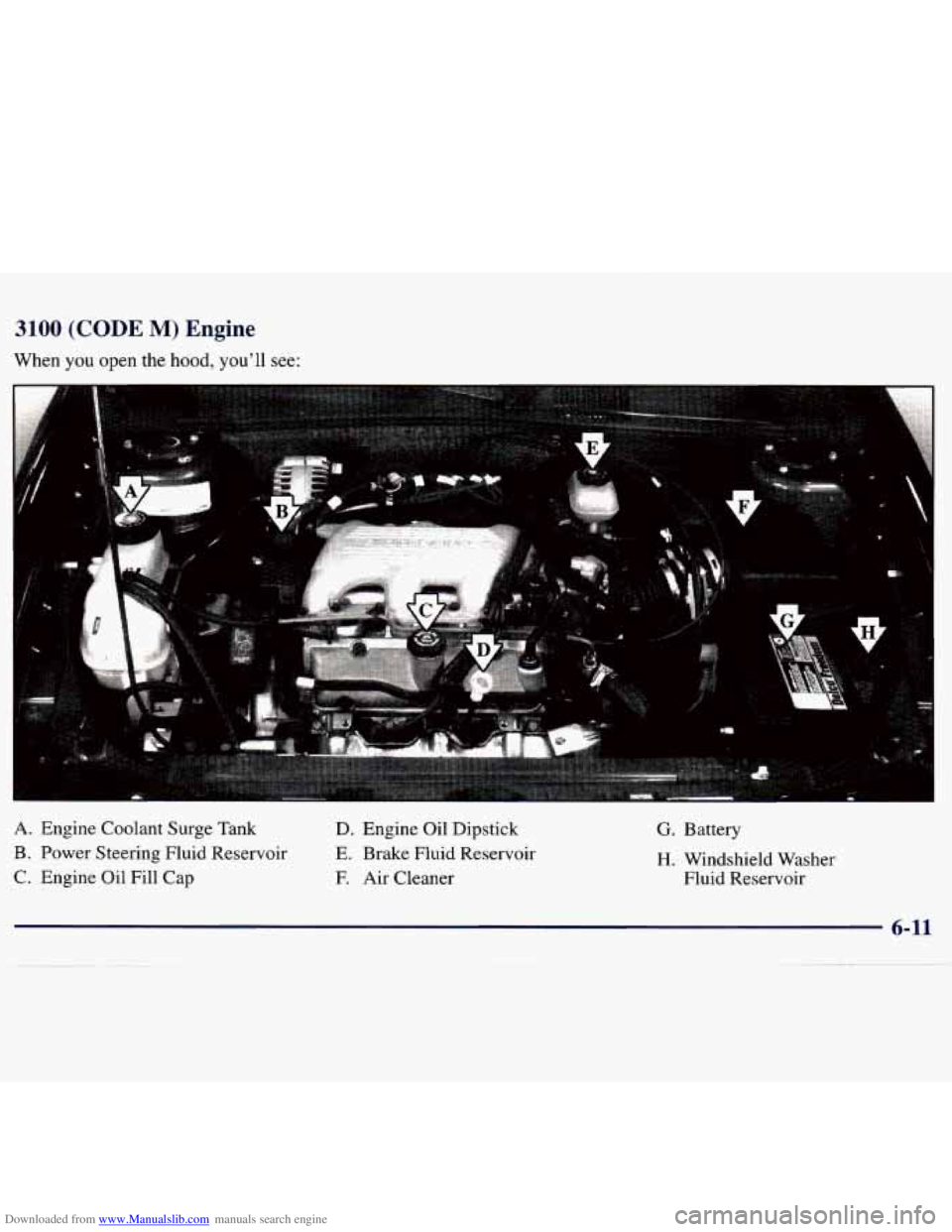 CHEVROLET MALIBU 1998  Owners Manual Downloaded from www.Manualslib.com manuals search engine 3100 (CODE M) Engine 
When  you  open  the  hood,  you’ll  see: 
A. Engine  Coolant Surge Tank 
B . Power  Steering  Fluid  Reservoir 
C.  En