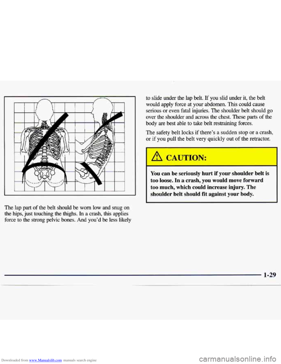 CHEVROLET MALIBU 1998 Service Manual Downloaded from www.Manualslib.com manuals search engine The lap part of the belt should be worn low and snug on
the hips, just touching the thighs.
In a crash, this applies
force to CHEVROLET MALIBU 1998 Service Manual Downloaded from www.Manualslib.com manuals search engine The lap part of the belt should be worn low and snug on
the hips, just touching the thighs.
In a crash, this applies
force to