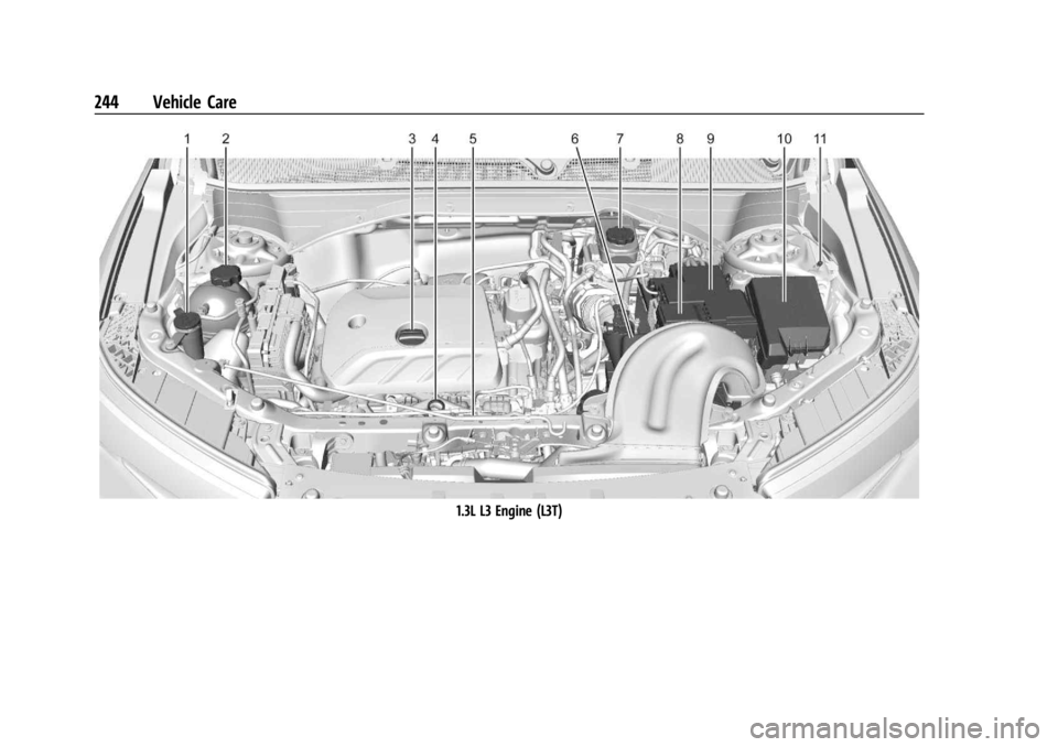 CHEVROLET TRAILBLAZER 2023  Owners Manual Chevrolet Trailblazer Owner Manual (GMNA-Localizing-U.S./Canada-
16263960) - 2023 - CRC - 2/23/22
244 Vehicle Care
1.3L L3 Engine (L3T) 