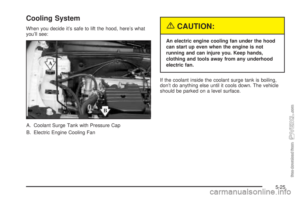 CHEVROLET CLASSIC 2004 Owners Manual Cooling System
When you decide it’s safe to lift the hood, here’s what
you’ll see:
A. Coolant Surge Tank with Pressure Cap
B. Electric Engine Cooling Fan{CAUTION:
An electric engine cooling fan CHEVROLET CLASSIC 2004 Owners Manual Cooling System
When you decide it’s safe to lift the hood, here’s what
you’ll see:
A. Coolant Surge Tank with Pressure Cap
B. Electric Engine Cooling Fan{CAUTION:
An electric engine cooling fan